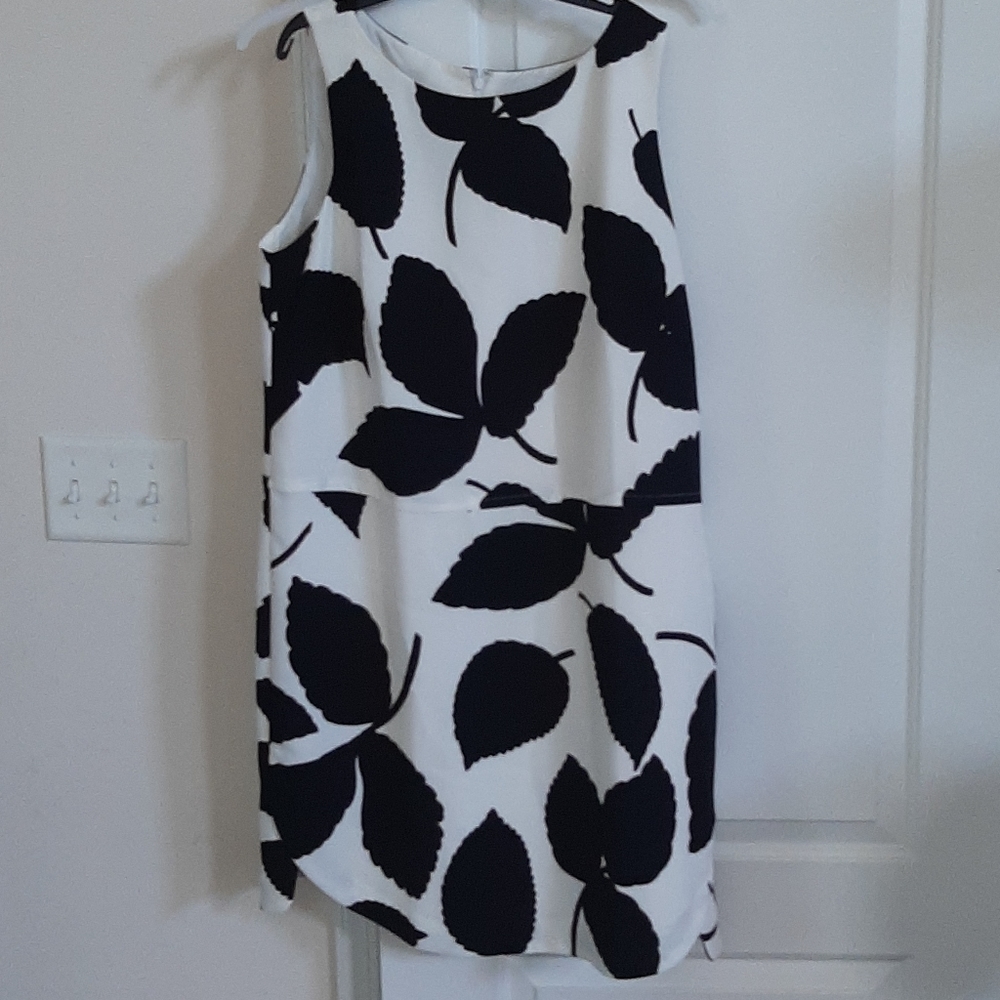 Ann Taylor dress nwt